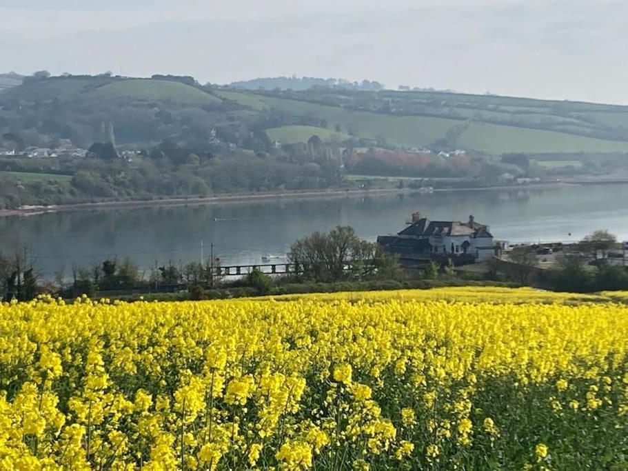 Charming Countryside Cottage Ground Floor Apartment In Combeinteignhead Devon Bishopsteignton 外观 照片