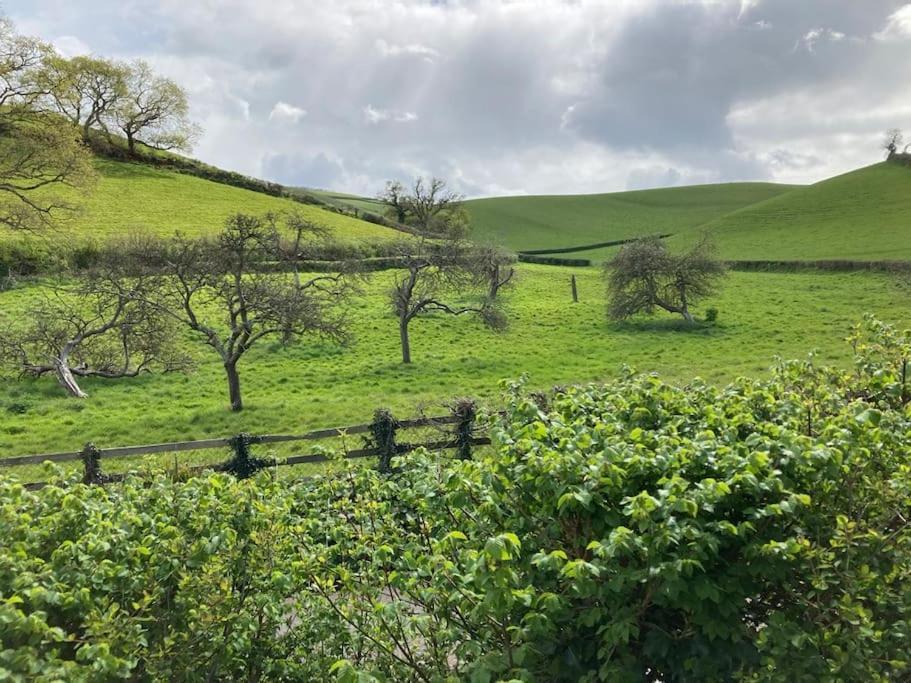 Charming Countryside Cottage Ground Floor Apartment In Combeinteignhead Devon Bishopsteignton 外观 照片